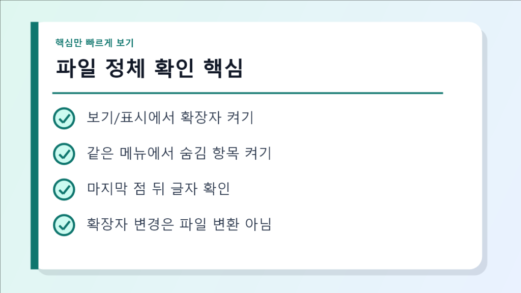 파일 정체 확인 핵심 요약 이미지